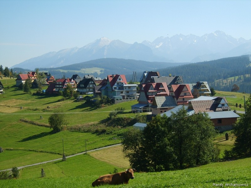 Gliczarów