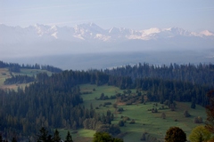 Gliczarów