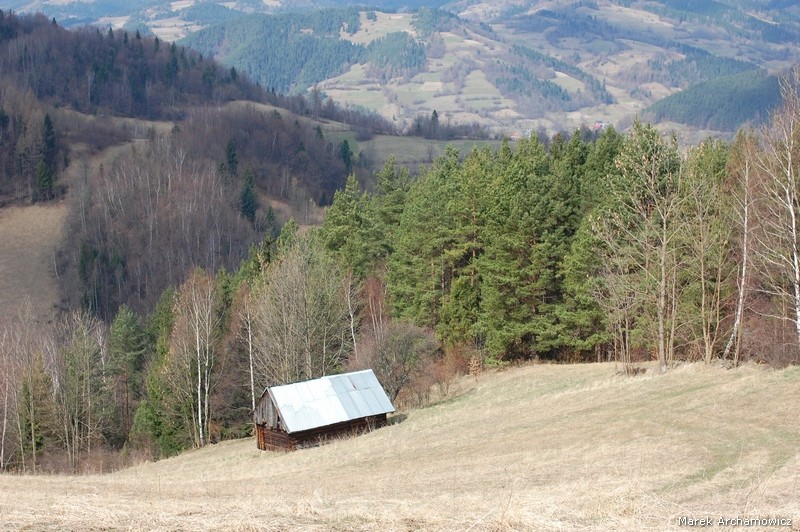 Ochotnica