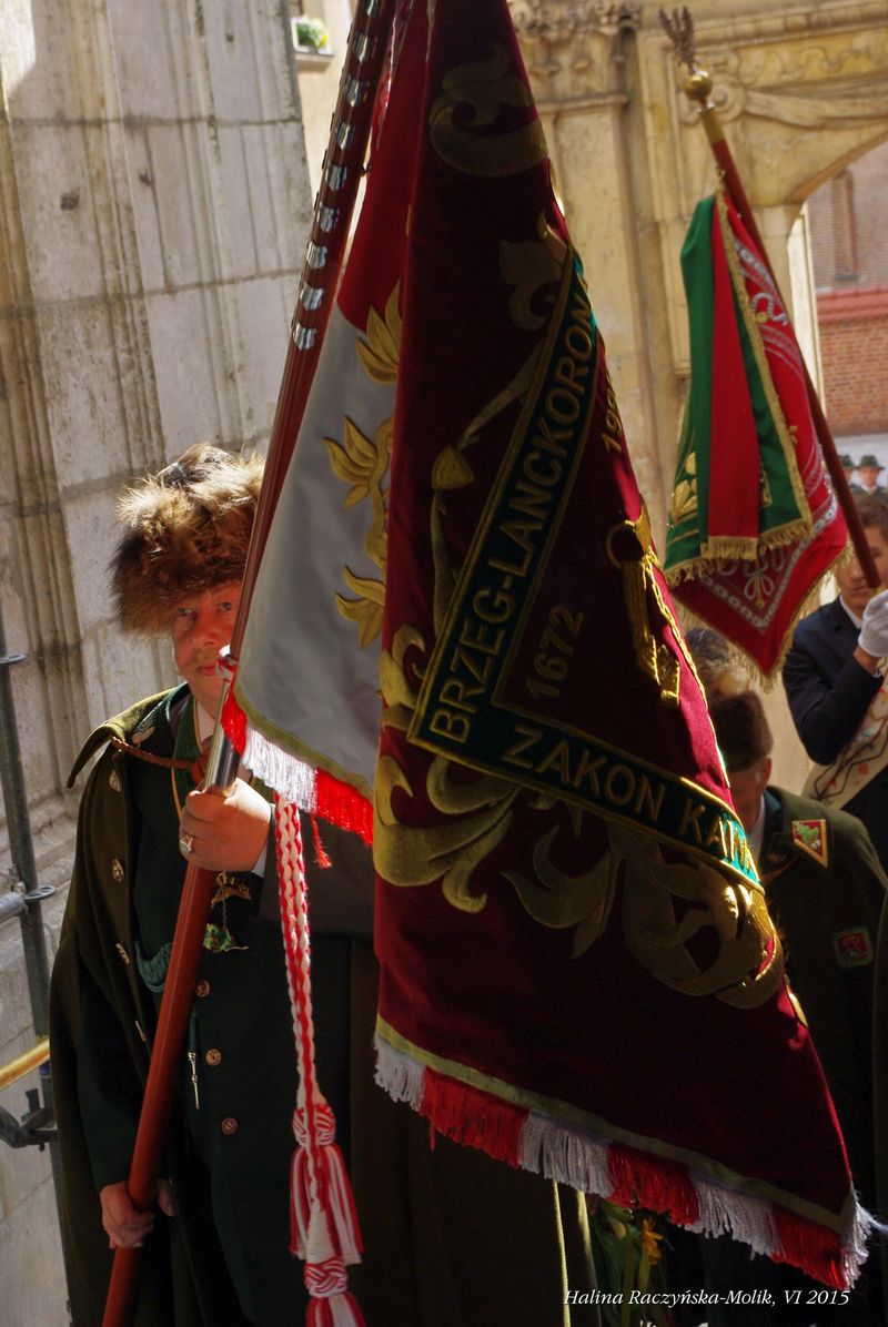 wawel