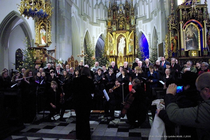 koncert
