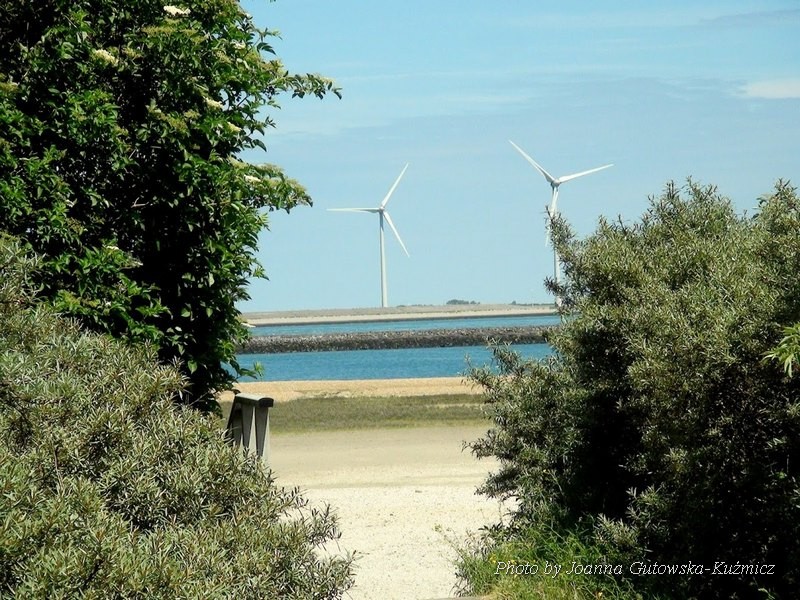 zeelandia