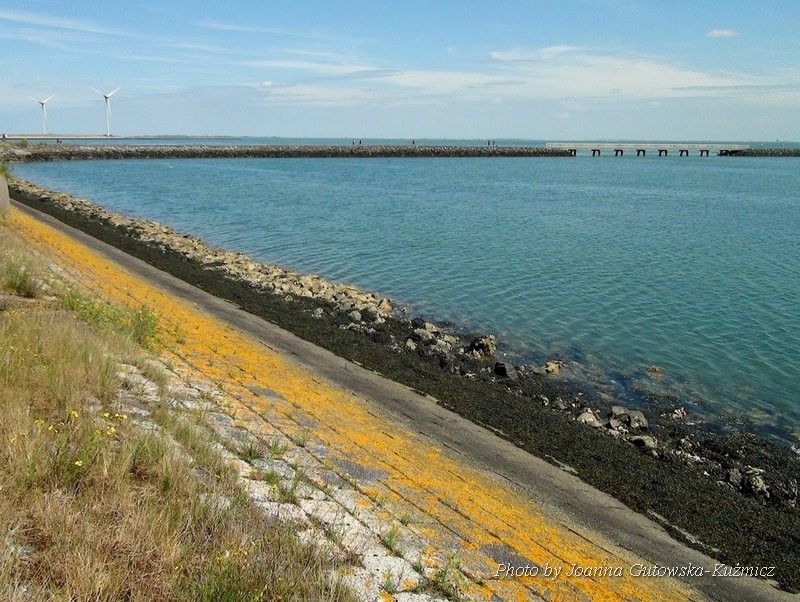 zeelandia