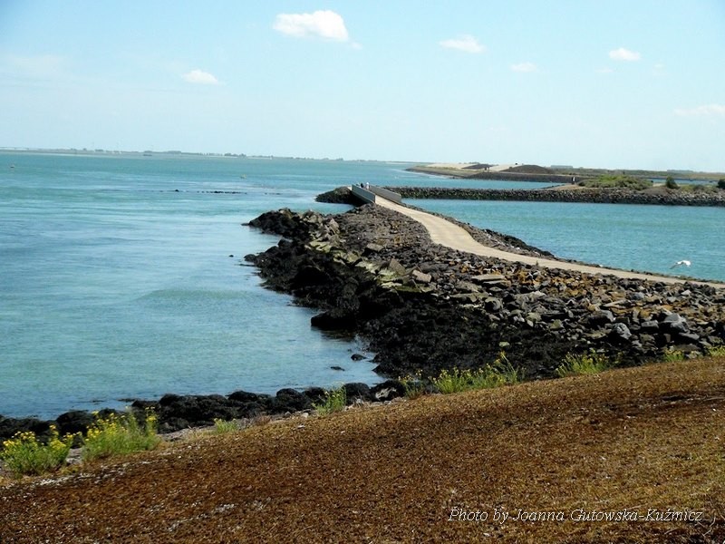 zeelandia