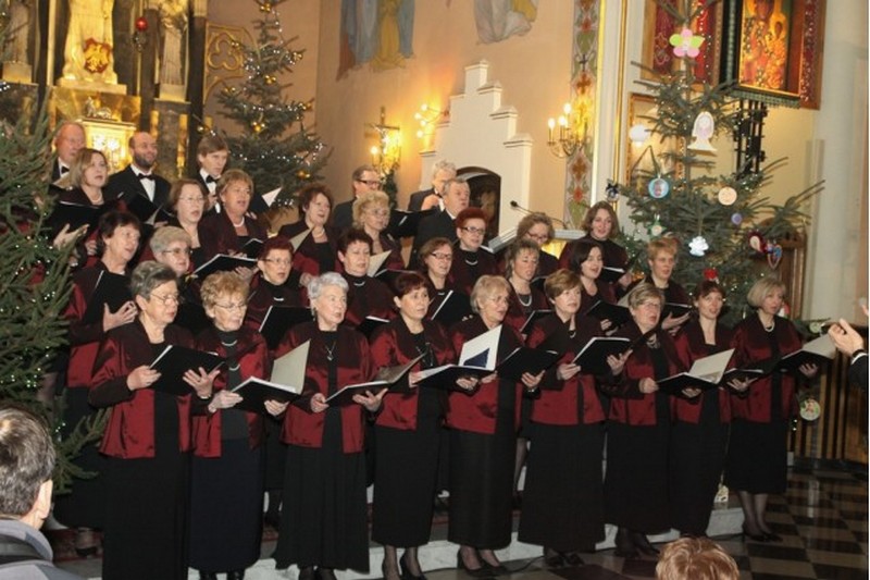 Voci