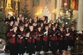 voci
